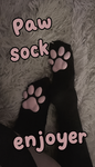 Paw sock enjoyer