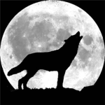~ MistyMoon Clan ~