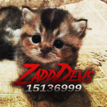 ZaddDev's