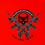 FDF - Facção Defensiva da Favela