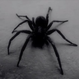 🕷️