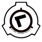 The MTF (Mobile task force)
