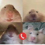 Hamster_s