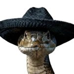 COBRA TOMA Group Thumbnail