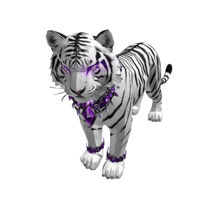 Siberian white tiger