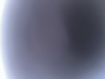 Lonelys anime group