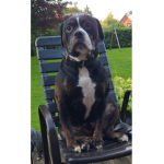 Joleen,s Welt