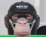 Ski......