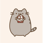 ~~ The Kitties!! ~~