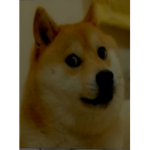 Cute_cookie