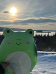 Frogs_arebetter