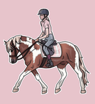 Meadow Springs Riding Stables