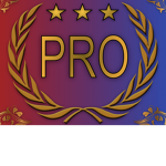 professional recruiters Operation