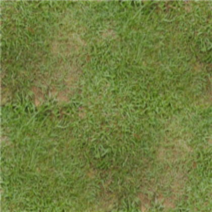 Grass Texture Roblox decal