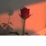 Dɪғғʀᴇɴᴛ Nᴀᴛɪᴏɴ