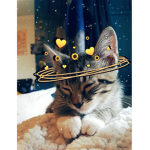 (: Cat Club:)