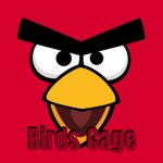 Birds Cage