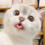 ꨄkleimrꨄ