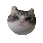 Just A Cat