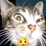 just a group i use for chatting