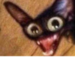MEME KITT3N