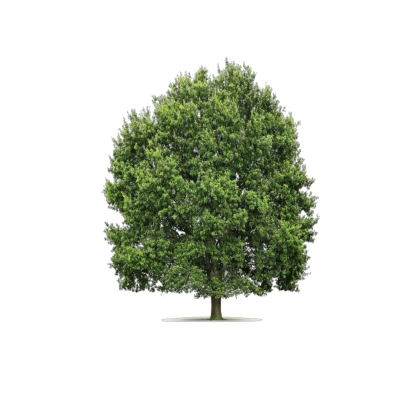2d tree #