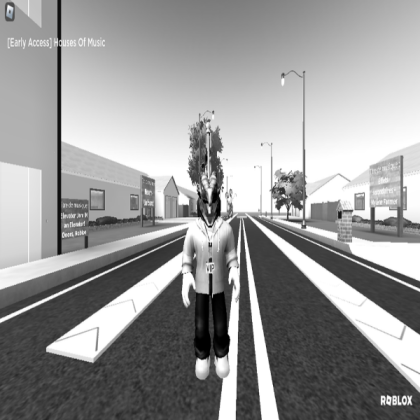 Photo 8 Roblox decal