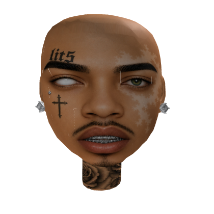 GZZ Lit5 Custom Mesh