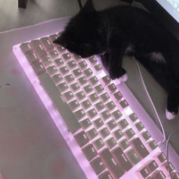 >ᴗ<