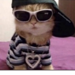 Cutestclothing