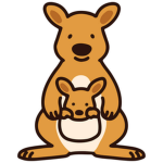 Kangaroos are awesome!