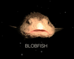 Roplay’s we r playing RP