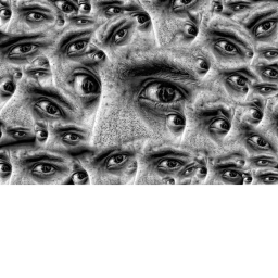 Scopophobia