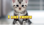 Meowzersvx