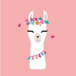 My amazing llamas