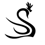 ValkSwan Apparel