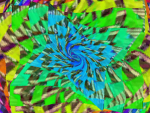 Ll,
