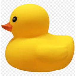 Duck Shrine