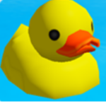 The cool ducks group