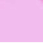 PinkCorp