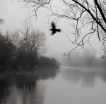 /enity