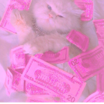 - CA$H BABIE$ -