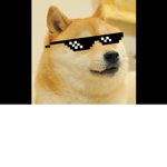 The doge army join today
