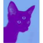 W3IRD C4TS