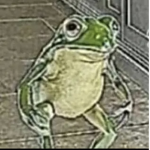Frog group/cult