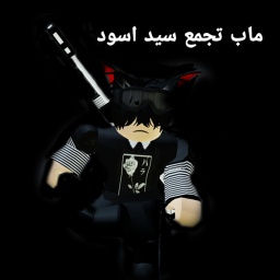تجمع سيد اسود