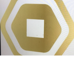 Robuxs transfer