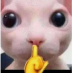 v1ndictive
