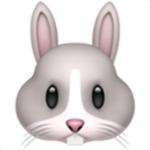 The bunny Squad :D
