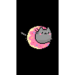 Catsss
